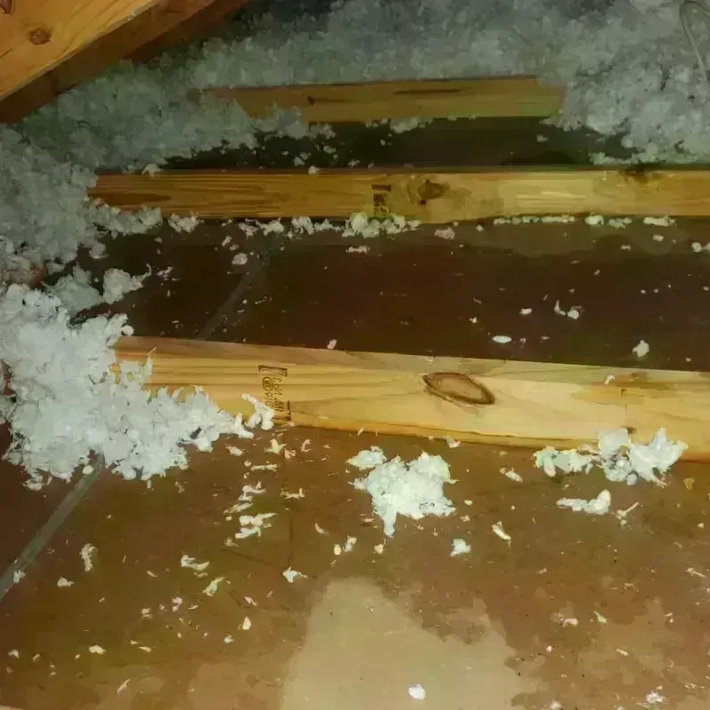 Attic Water Damage in Horicon, WI