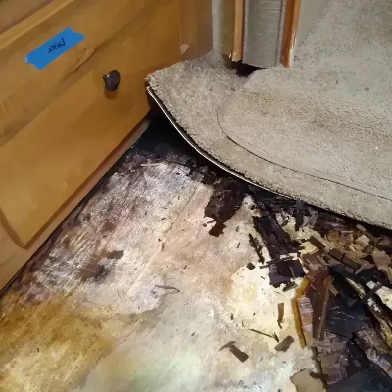 Wood Floor Water Damage in Horicon, WI